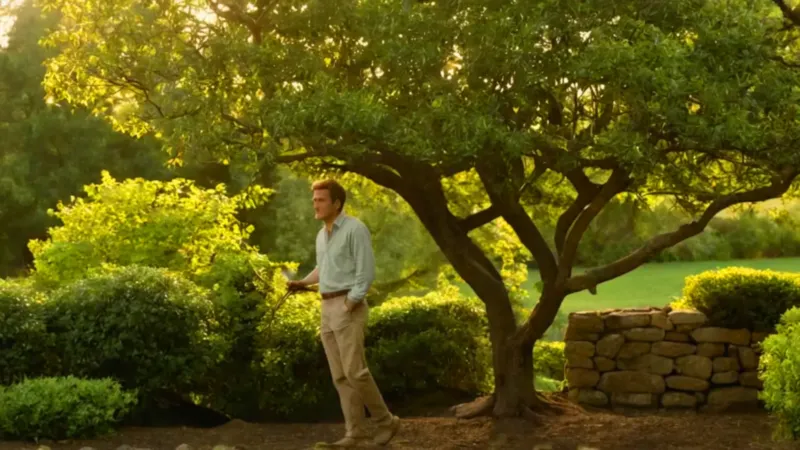 Persona podando un rosal en el jardín