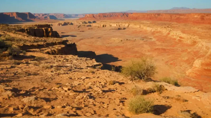 Una figura encuentra vida en el desierto