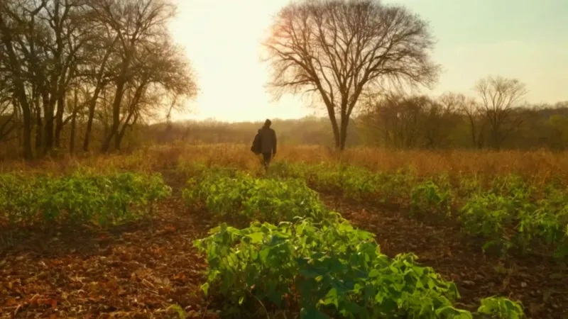 Un observador entre el matorral de ricinos