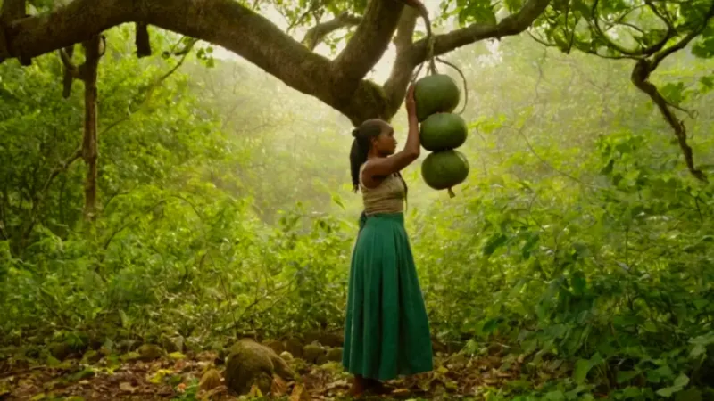 Una mujer toca el fruto del árbol