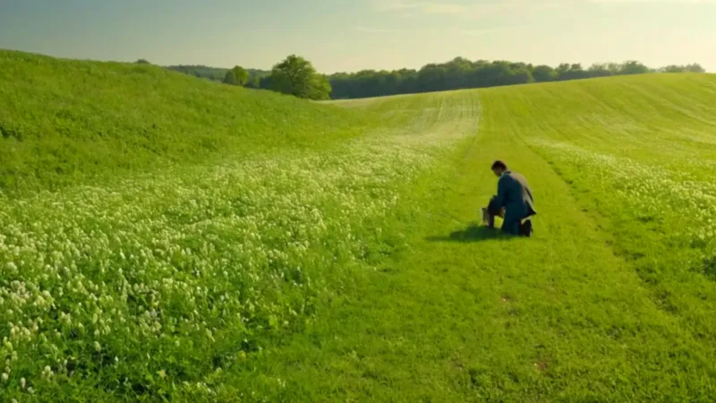Un trabajador inspecciona el campo verde