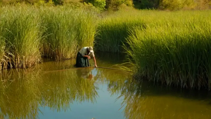 Hombre de pie en el agua pantanosa