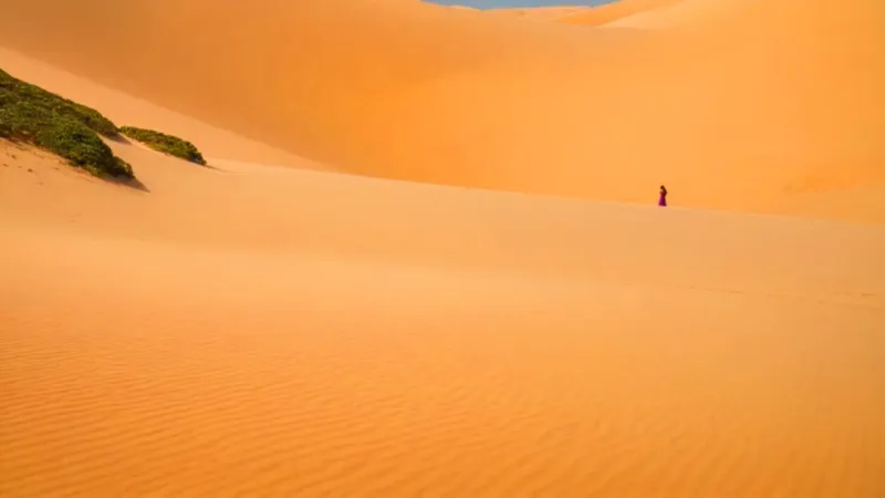 Persona contempla flores frente al mar